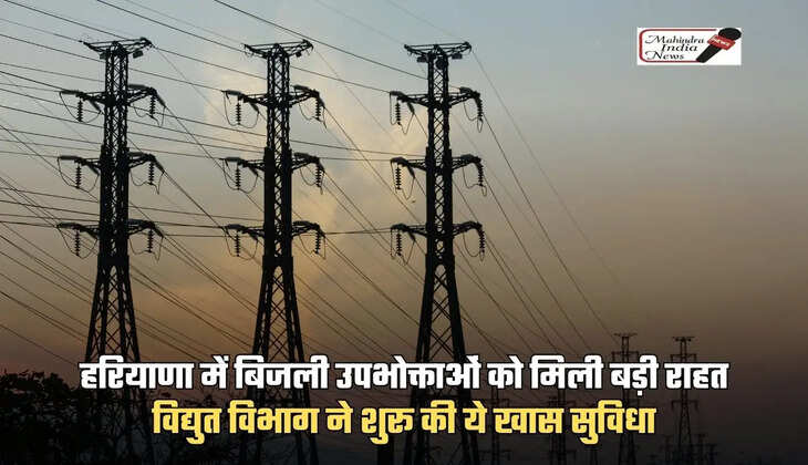 haryana electricity consumers