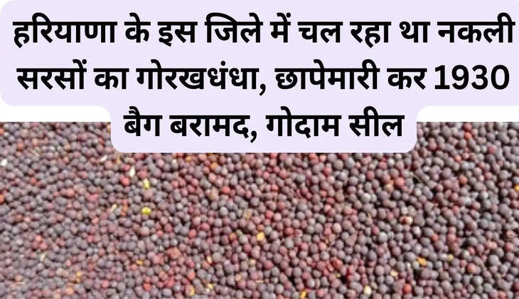 Fake mustard racket was running in this district of Haryana, 1930 bags recovered during raid, warehouse sealed