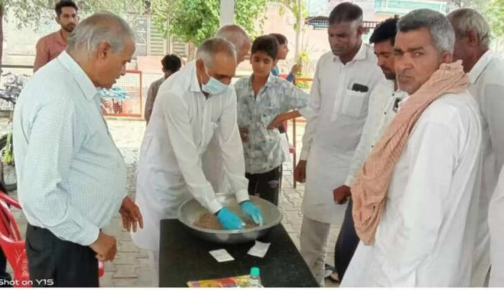 Farmers should not sow Guar in the month of May, farmers should do this for higher yield