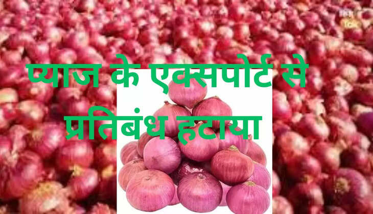  प्याज के एक्सपोर्ट से प्रतिबंध हटाया 