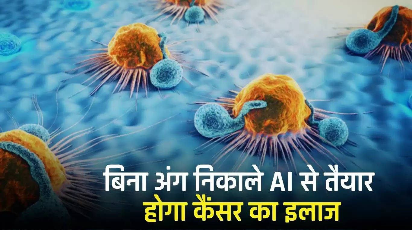 Haryana News: बिना अंग निकाले AI से तैयार होगा कैंसर का इलाज, बाढ़सा कैंपस में वैज्ञानिक करेंगे रिसर्च