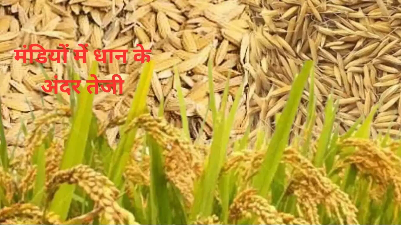 ना