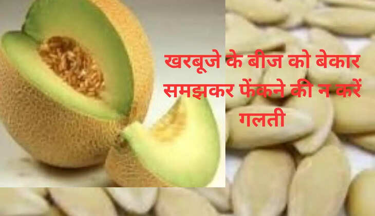 खरबूजे के बीज को बेकार समझकर फेंकने की न करें गलती
