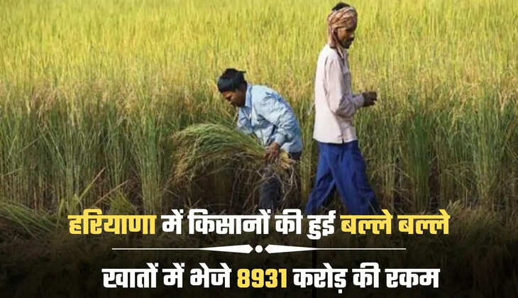 खातों में भेजे 8931 करोड़ की रकम