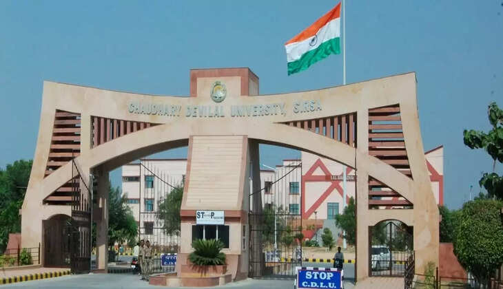 Teej festival will be celebrated with great enthusiasm in CDLU SIRSA on 29th July, women employees and students will participate in various competitions