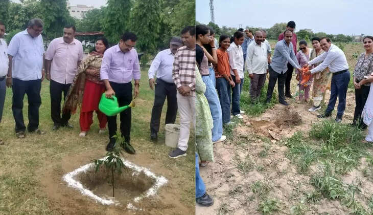 Tree plantation in CDLU under the campaign "Ek Ped Maa Ke Naam 2.0" is an initiative dedicated to environmental protection and maternal affection
