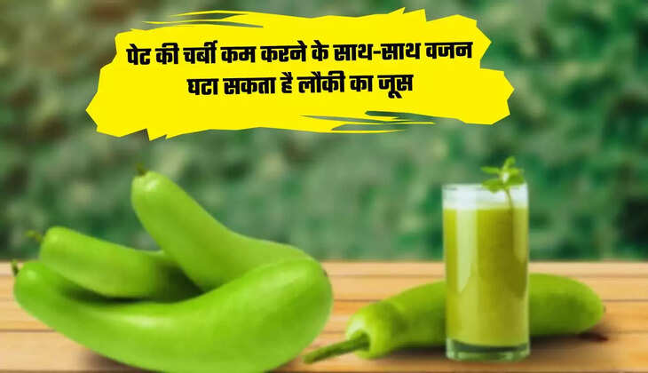  पेट की चर्बी कम करने के साथ-साथ वजन घटा सकता है लौकी का जूस, ऐसे करें तैयार 