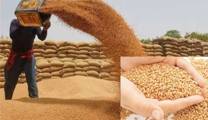 ये मांगे हैं आढ़तियों की 