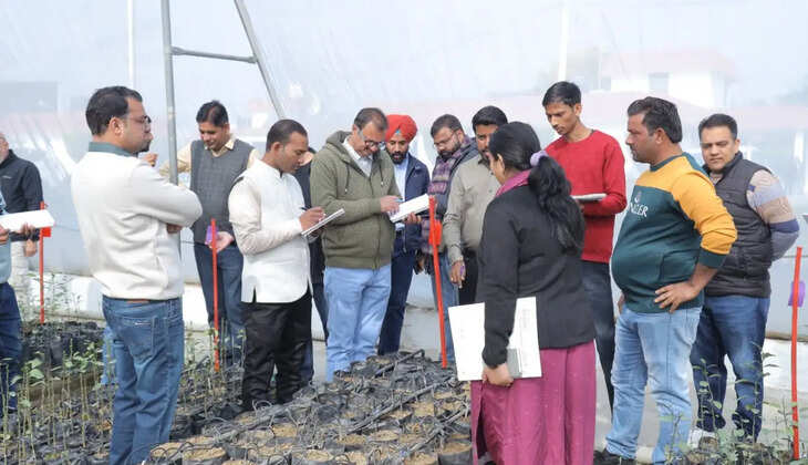 Canopy management training on citrus crops started at Fruit Excellence Center Mangeana in Sirsa district