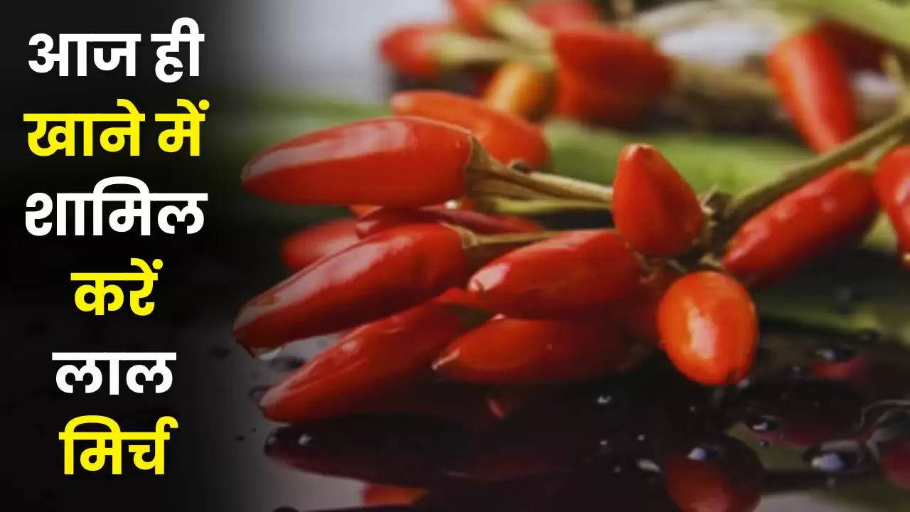  Red Chilli Benefits: आज ही खाने में शामिल करें लाल मिर्च, मिलते हैं गजब के फायदे