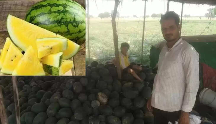 Raipur village farmer Ramchandra is preparing Israel's sweet yellow watermelon