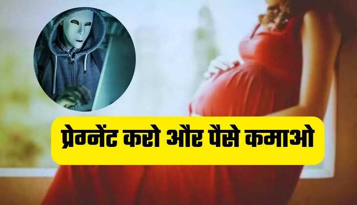  ठगी का नया तरीका: प्रेग्नेंट करो और पैसे कमाओ, अनोखा Job ऑफर देख हैरान रह गई पुलिस, 2 गिरफ्तार