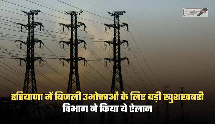 haryana electricity news
