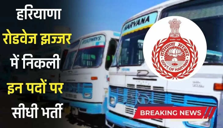  Haryana Roadways Jobs : हरियाणा रोडवेज झज्जर में निकली इन पदों पर सीधी भर्ती, जल्दी करें Apply