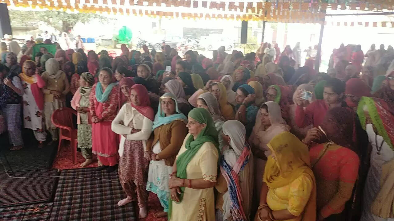 Om Shanti Bhawan Nathusari Chowpata organized the Trimurti Shiva Jayanti Festival at Nathusari Kalan Gaushala in Sirsa