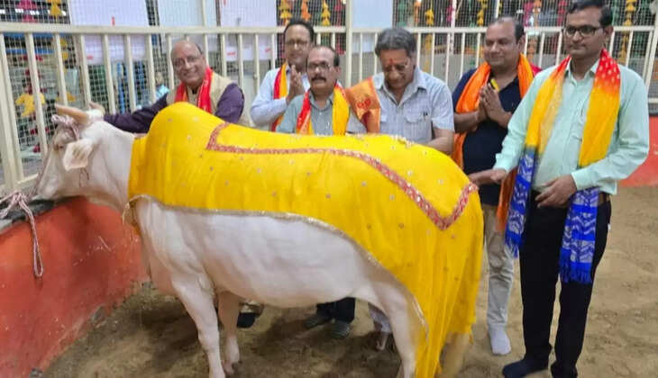 Darshan of Kapila Kamdhenu cow in Kaliyug is a pleasant experience: Dr. Inder Goyal