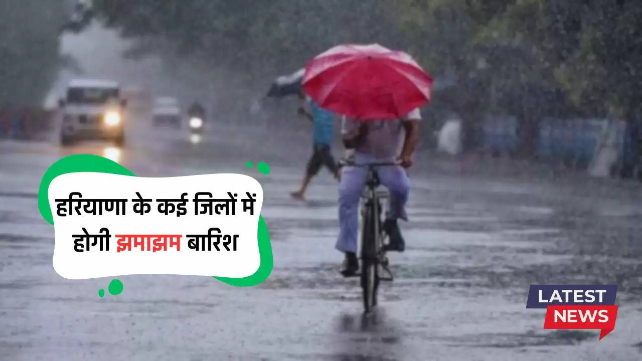 Haryana Weather: हरियाणा के कई जिलों में होगी झमाझम बारिश, अगले तीन दिन तक ऐसा रहेगा मौसम 