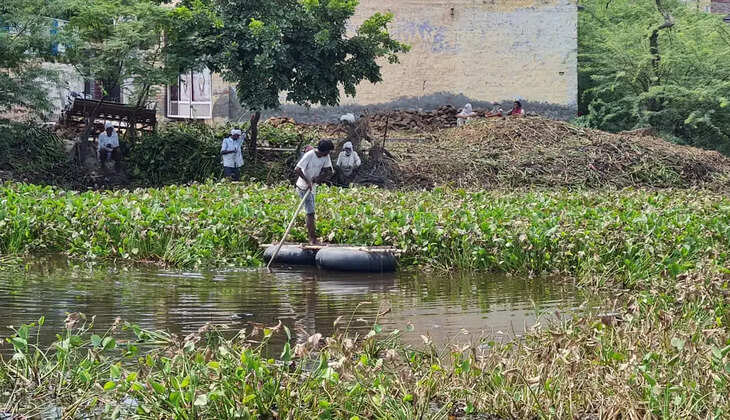 फ्री की खाद से ले सकते हैं अधिक फायदा 