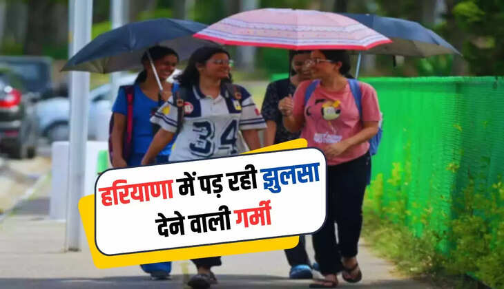  Haryana Weather: हरियाणा में पड़ रही झुलसा देने वाली गर्मी, इन 13 जिलों के लिए जारी हु