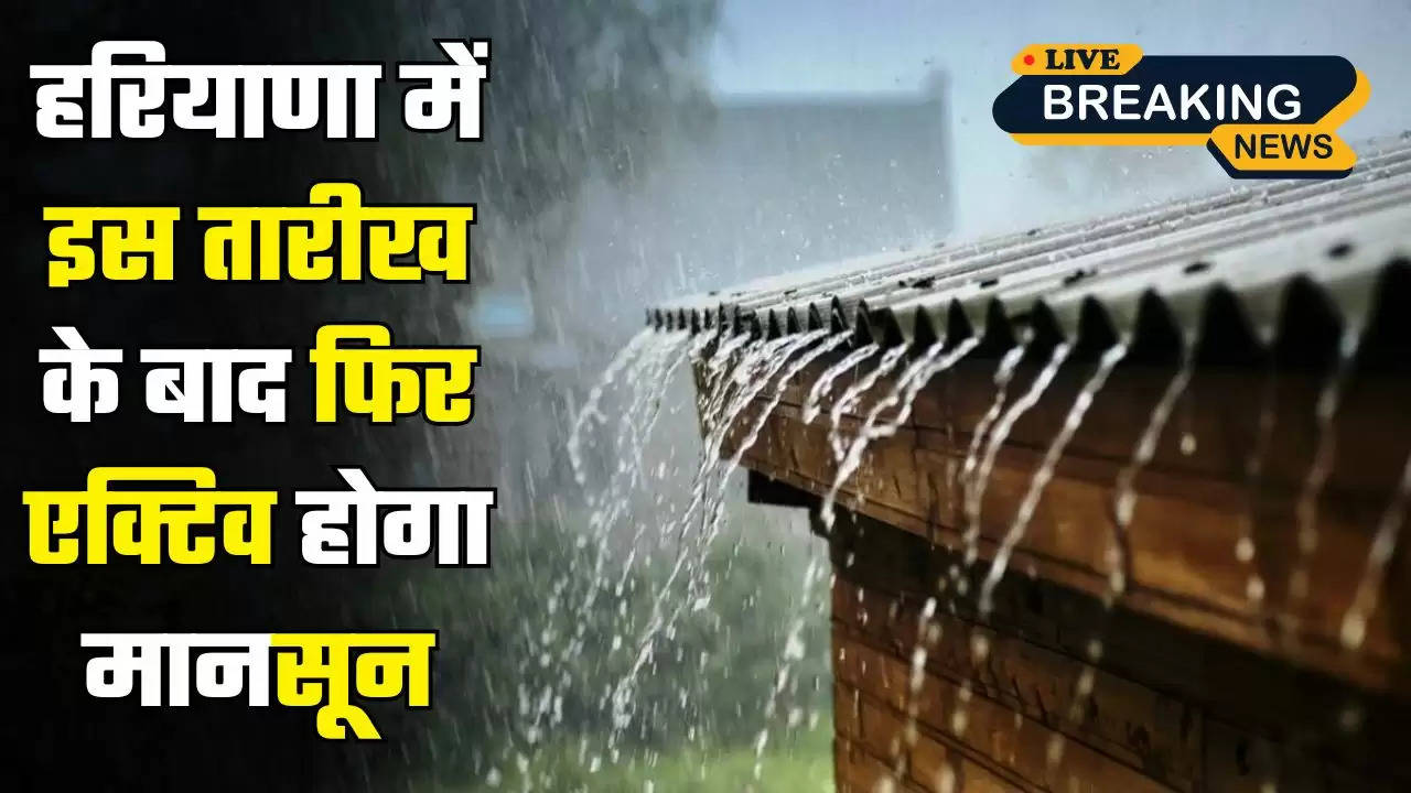  Haryana Weather: हरियाणा में इस तारीख के बाद फिर एक्टिव होगा मानसून, जानें कहां- कहां होगी बारिश ​​​​​​​