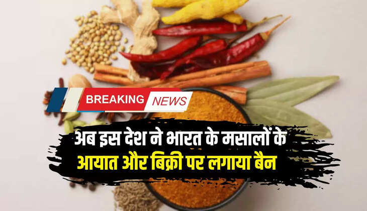 सिंगापूर, हांगकांग के बाद अब इस देश ने लगाया भारत के मसालों के आयात और बिक्री पर बैन, जाने बड़ी वजह... 