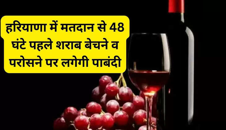 हरियाणा में मतदान से 48 घंटे पहले शराब बेचने व परोसने पर लगेगी पाबंदी