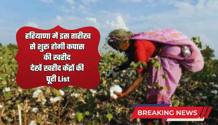  Haryana : हरियाणा में इस तारीख से शुरू होगी कपास की खरीद, देखें खरीद केंद्रों की पूरी List