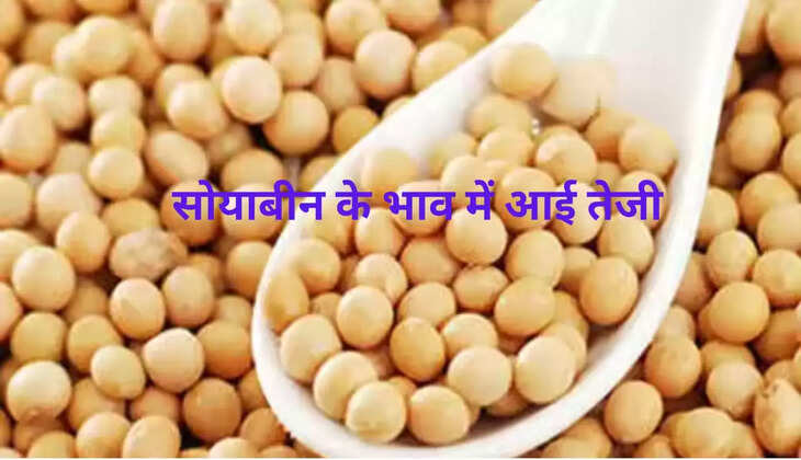 सोयाबीन के भाव में आई तेजी