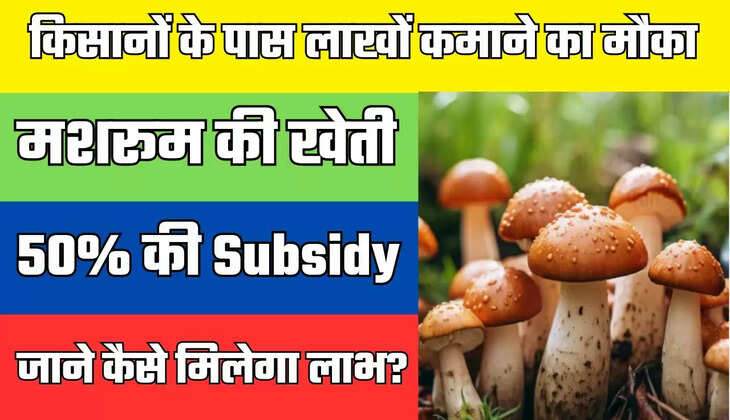  किसानों के पास लाखों कमाने का मौका, मशरूम की खेती करने पर मिल रही 50% की Subsidy, जाने कैसे मिलेगा लाभ?