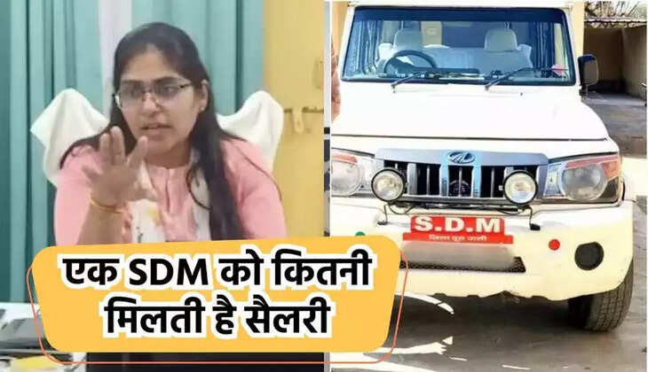 sdm salary